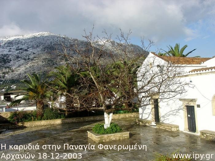 11-Η-καρυδιά-στην-Παναγία-Φανερωμένη-Αρχανών-18-12-2003