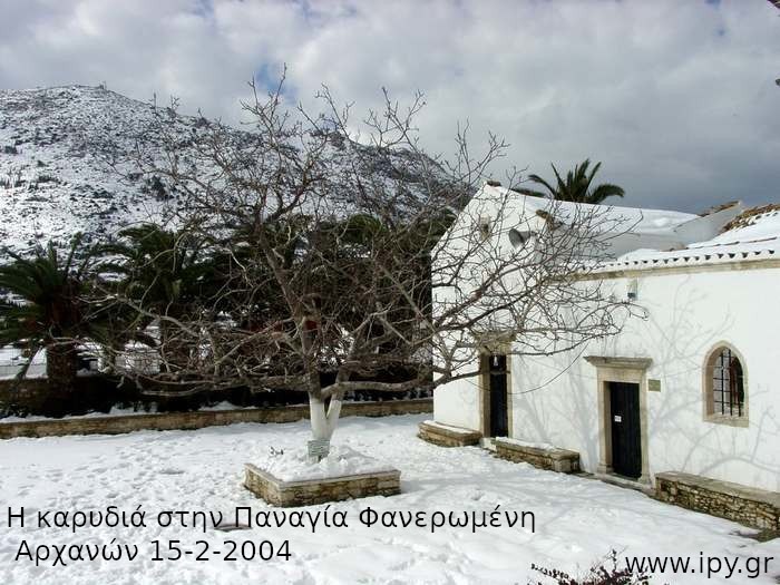 22-Η-καρυδιά-στην-Παναγία-Φανερωμένη-Αρχανών-15-2-2004