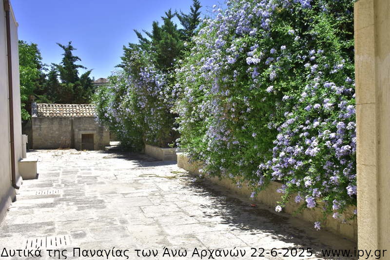 33-Δυτικά-της-Παναγίας-των-Άνω-Αρχανών-22-6-2025