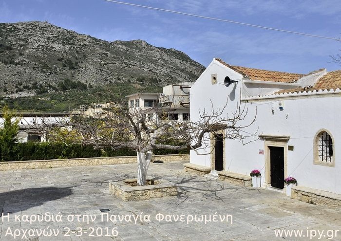 33-Η-καρυδιά-στην-Παναγία-Φανερωμένη-Αρχανών-2-3-2016
