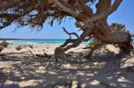 Gaidouronisi the Golden Ierapetra Crete