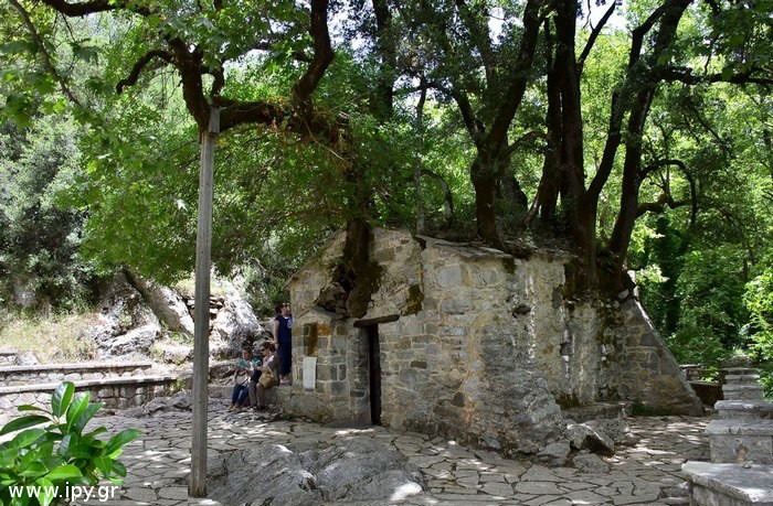 Theodora Tree Ο Ναός της Αγίας Θεοδώρας με τα 17 δέντρα - www.ipy.gr