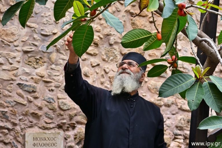 Father-Philotheos-Spanoudakis-of-the-Akrotiriani-Monastery-24-5-2026