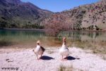Λίμνη Κουρνά
