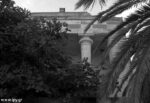 The Hero in Eleftheria Square