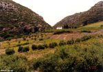 Ο βιολογικός καθαρισμός των Αρχανών