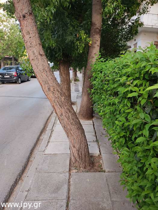 Πεζοδρόμιο-Πεύκης-Αττικής-1-10-2022-5