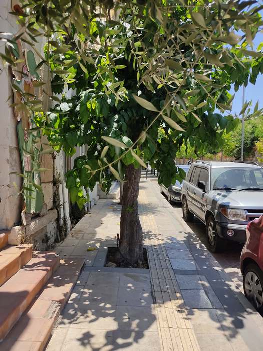 Πεζοδρόμιο-οδός-Πλαστήρα-25-6-2022