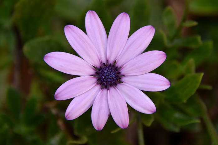 Μονή-Αγίου-Ιωάννη-Προδρόμου-στο-Μπαλή-7-5-2023-59