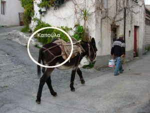 Τι είναι η καπούλα;