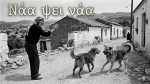 Νάα ψει νάα