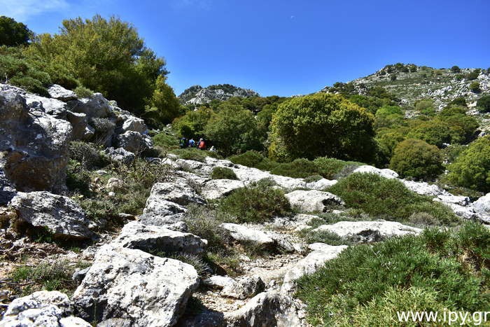 Μονοπάτι από Οροπεδίου Λασιθίου προς Τσούλη μνήμα