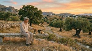 Αγάπη για τα ζώα: Όρια μεταξύ φιλοζωίας και λατρείας