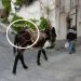 Καπούλα